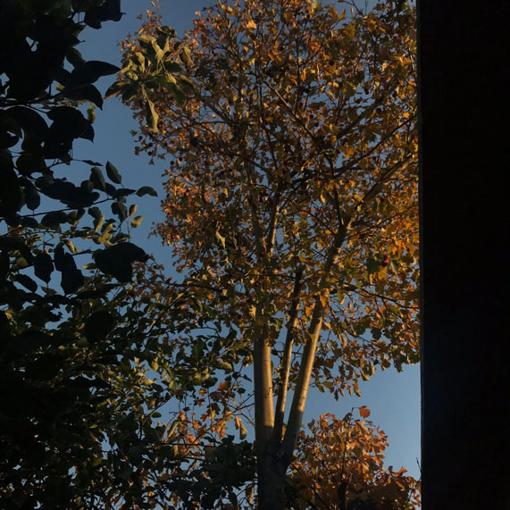 1712477702358019071.jpg 0 (48).jpg