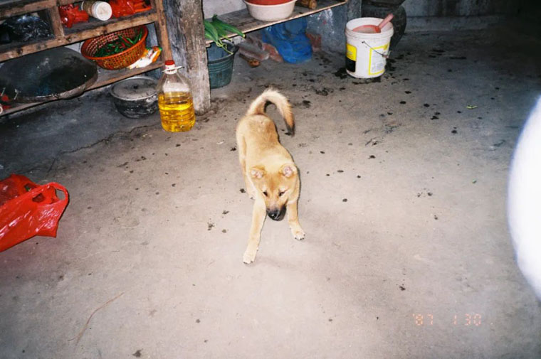 10040.jpg