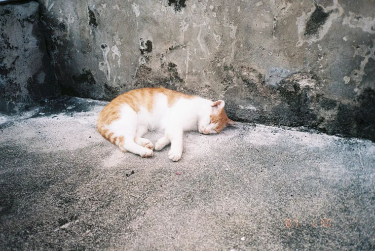 10041.jpg