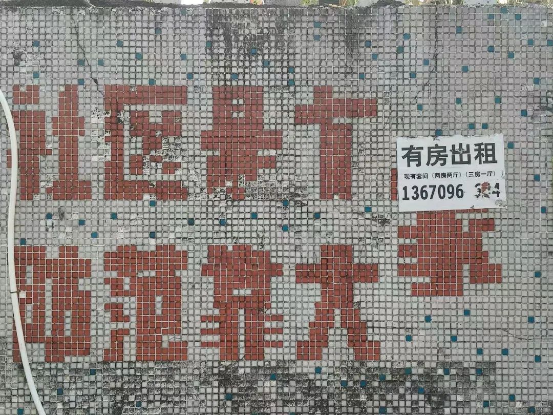 1756368549175051370.jpeg
