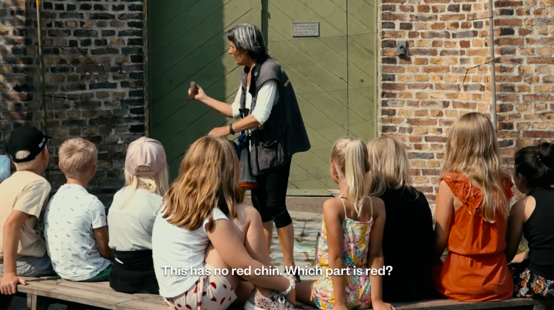 1761723763324048719.png 1761723763324048719.png