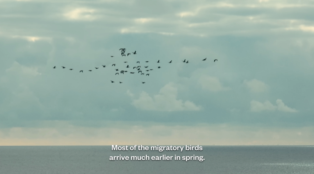 1761724191302014788.png 1761724191302014788.png