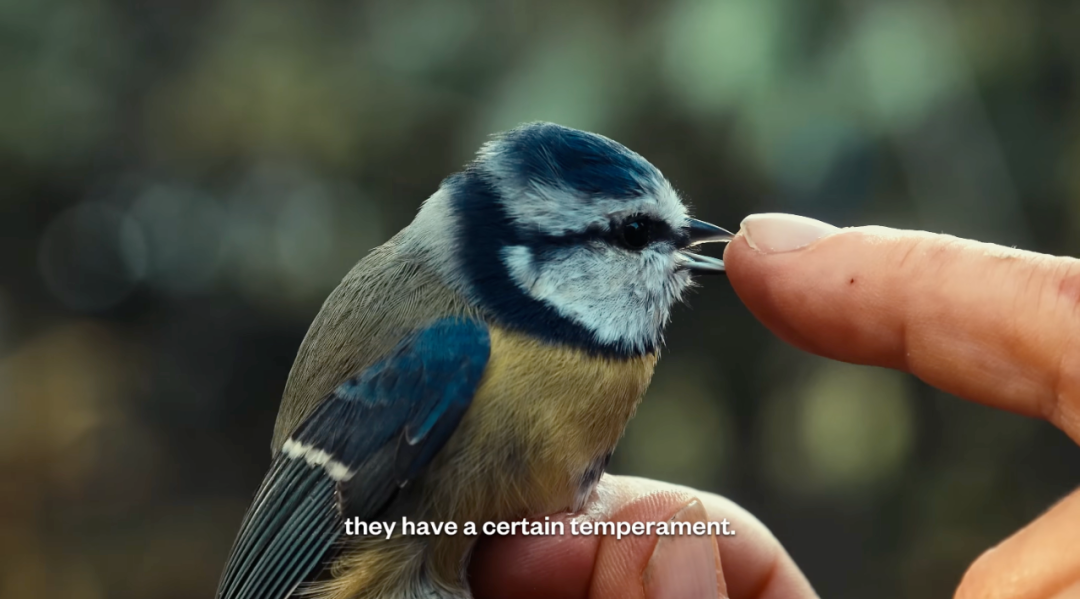 1761724196237051398.png 1761724196237051398.png