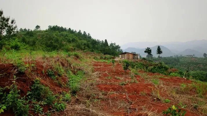 1762256244493033776.jpeg 1762256244493033776.jpeg