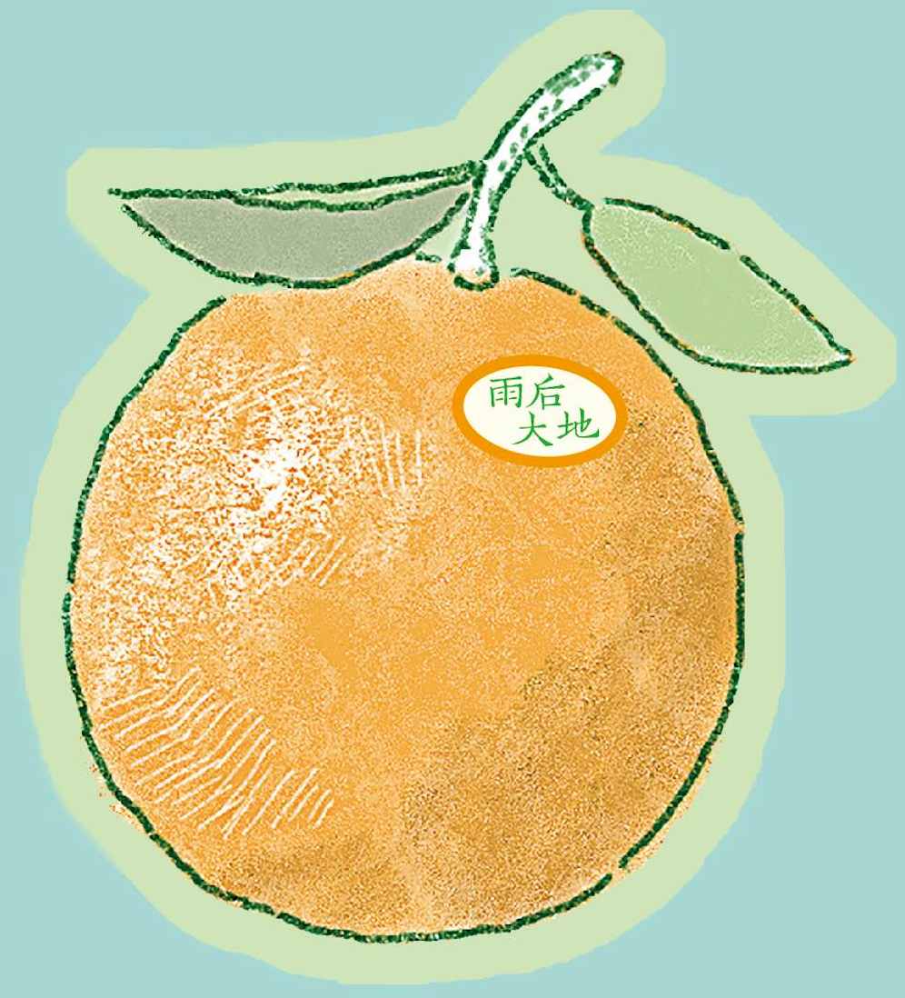 1762256290572012905.png 1762256290572012905.png