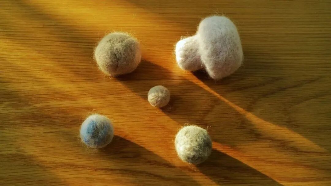 1762256623915001828.jpeg 1762256623915001828.jpeg