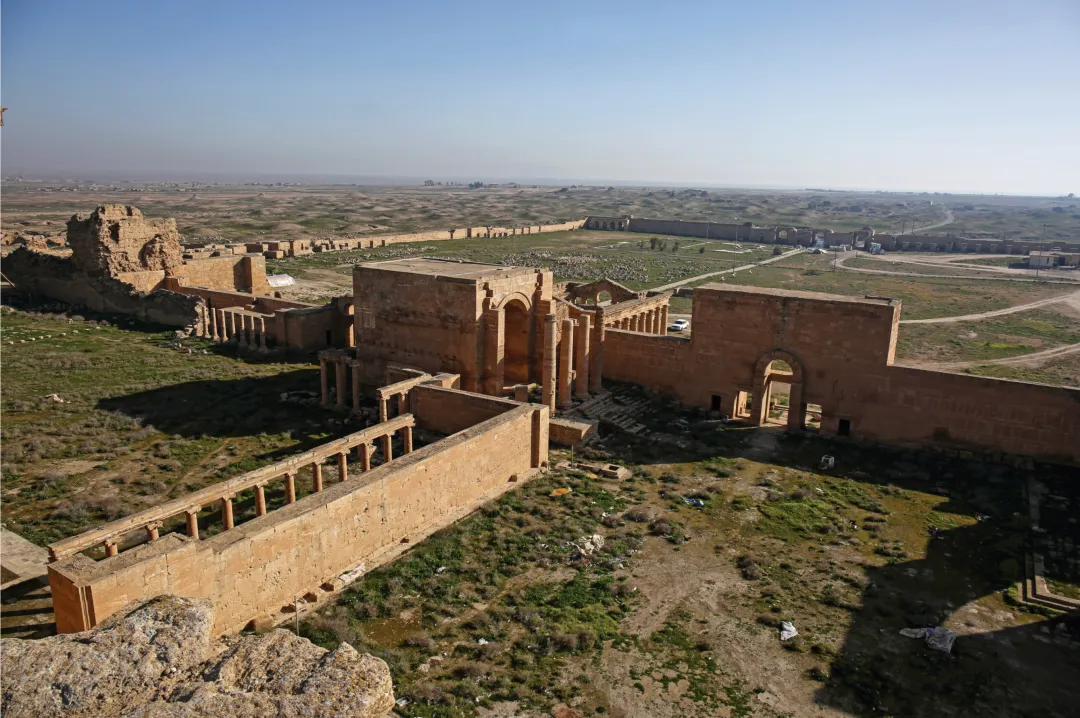 1764062866060041345.jpg 1764062866060041345.jpg