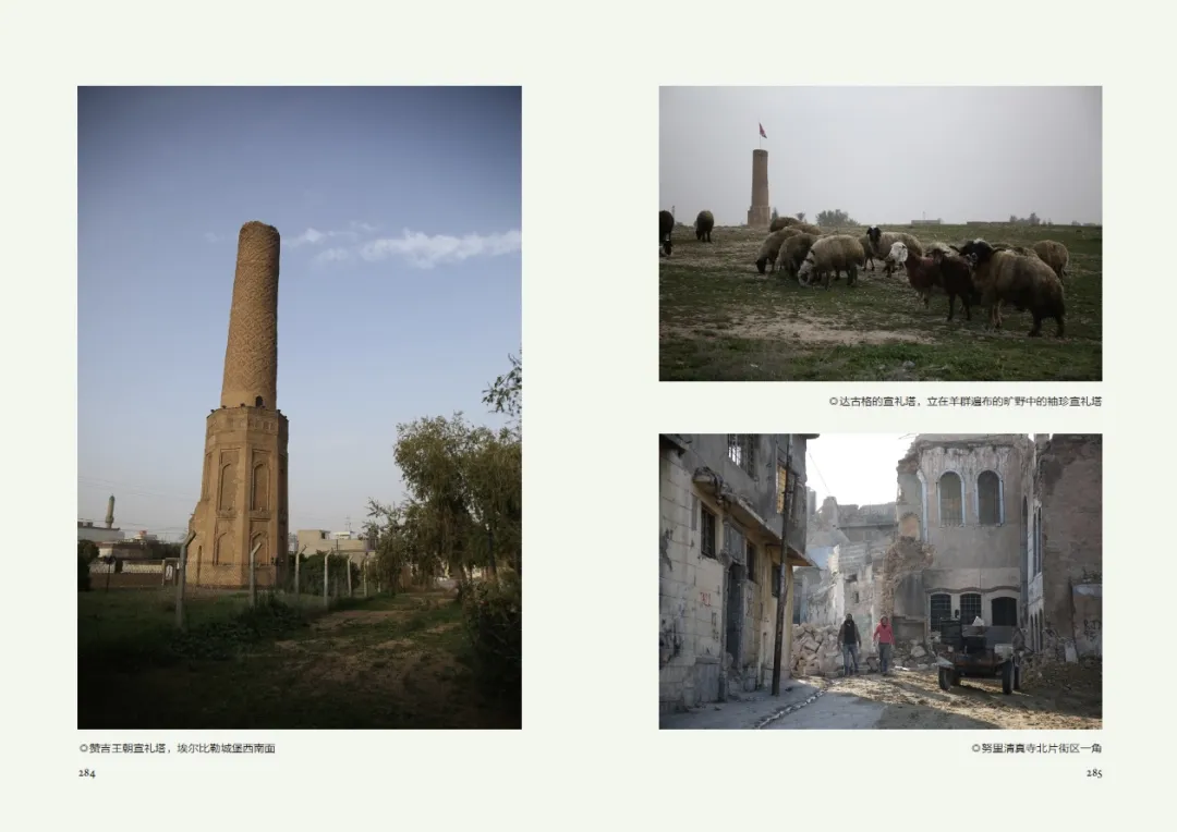 1764063134174062679.jpg 1764063134174062679.jpg