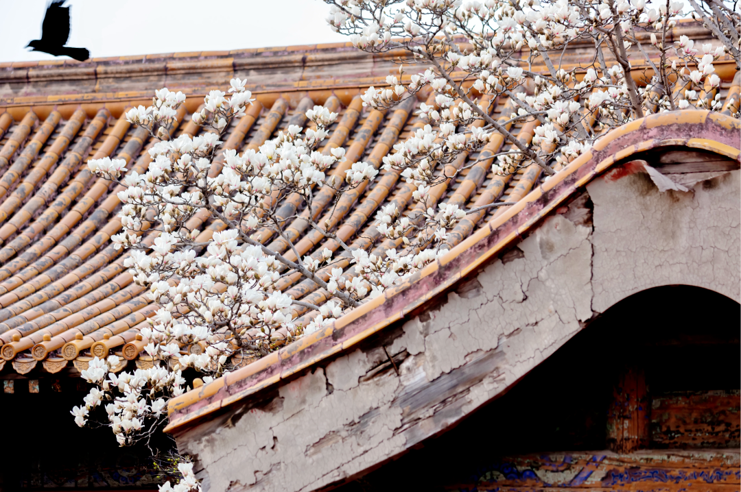 1764660989977019311.png 1764660989977019311.png