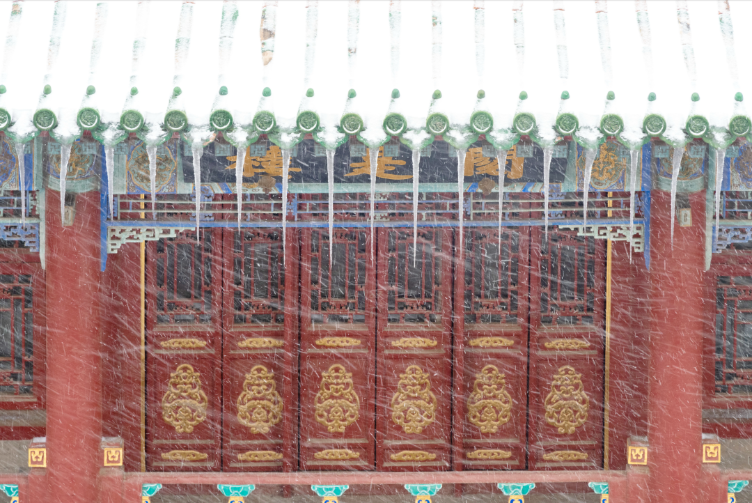 1764661138779040862.png 1764661138779040862.png