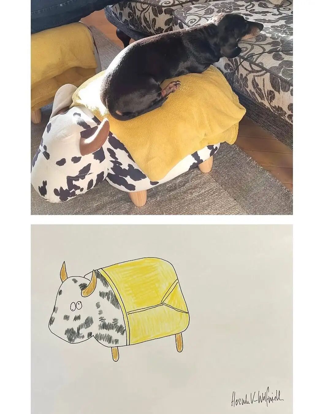 1777525702555067261.jpeg