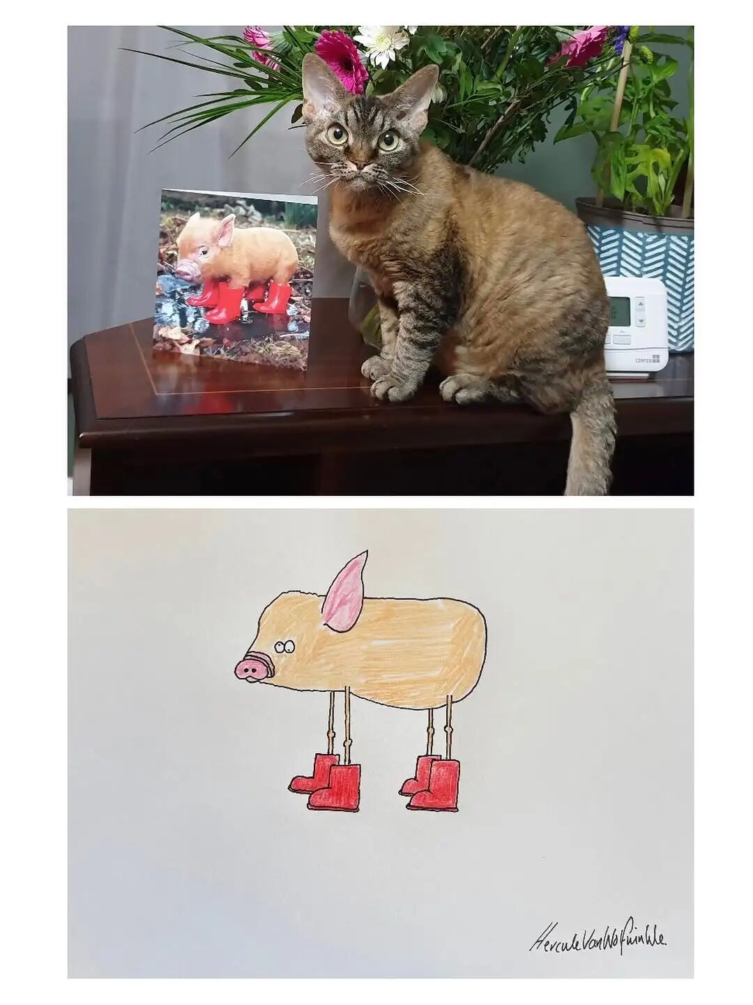 1777525707981083612.jpeg