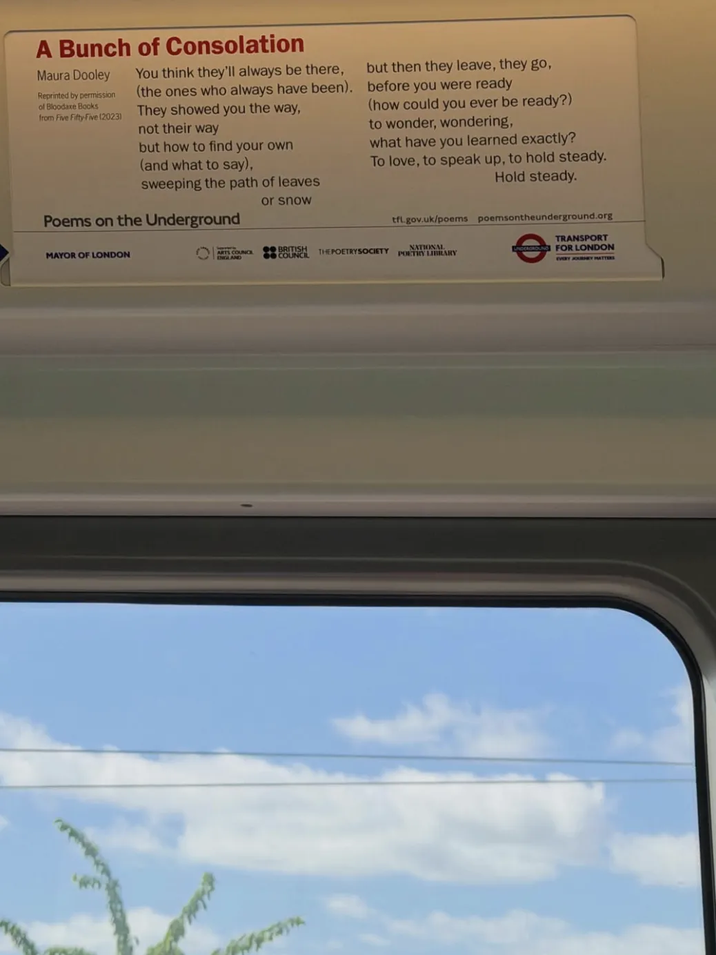 1784177226345036170.jpg